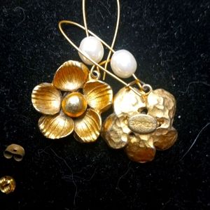 Express Earrings